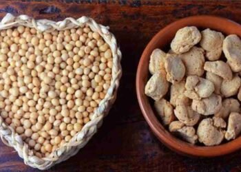 5 Best Soya Chunks Brands for a Protein-Packed Diet 2 Soya Chunks, Best Soya Chunks, Soya Chunks Brands, High Protein Soya Chunks, Vegetarian Protein, Vegan Protein, Plant-Based Protein, Soya Chunks for Weight Loss , Soya Chunks Recipes, Hamdard Soya Magic Chunks, Nutrela Soya Chunks, Fortune Soya Chunks, Saffola Soya Chunks, Vama Soya Chunks, Best Soya Chunks for Indian Cooking, High Protein Soya Chunks for Vegetarians, Affordable Soya Chunks Brands, Healthy Soya Chunks Options, Non-GMO Soya Chunks, Soya Chunks Benefits, How to Cook Soya Chunks, Soya Chunks Nutrition, Where to Buy Soya Chunks, Defatted Soy Flour, Protein-Rich Food, Meat Substitute, Healthy Food, Indian Cuisine, Versatile Ingredient, Soya Chunks in NCR, Best Soya Chunks Brands in India, What are the best soya chunks brands?, Which soya chunks brand is the healthiest?, How to use soya chunks?, Are soya chunks a good source of protein?, Soya Nuggets , Textured Vegetable Protein (TVP), Vegetarian Diet, Vegan Diet, Healthy Eating, Fitness Food,