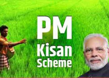 pm kisan, pm kisan 19th installment date, pm kisan samman nidhi, pm kisan status, pm kisan yojana, pm kisan 19th installment date 2025, पीएम किसान, kisan samman nidhi, pm, किसान, pm kisan samman nidhi yojana, प्रधानमंत्री किसान सम्मान निधि,