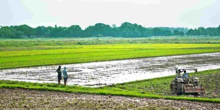 Samunnati & MP Govt Launch Project Vasundhara for Sustainable Farming 1 Madhya Pradesh, Project Vasundhara, sustainable farming, organic farming, farmer producer companies, Samunnati, agriculture India, low-residue farming,