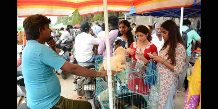 Beyond 8 Empowers Learners to Think and Act Like Future Entrepreneurs 1 Beyond 8, experiential learning, market-ready skills, alternative education