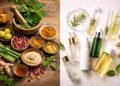 Ancient Ingredients, Modern Formulas: The Evolution of Ayurvedic Beauty 11 Ayurvedic beauty evolution, modern Ayurveda skincare, cosmetic science and Ayurveda, JungleBerry philosophy