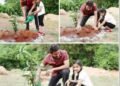 Mahesh Babu Green India Challenge, Alia Bhatt sustainable living, Priyanka Chopra social causes, Shah Rukh Khan philanthropy, Dia Mirza environment